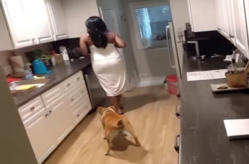 The owner captured a shocking video of a housekeeper who was unaware that she was being recorded.